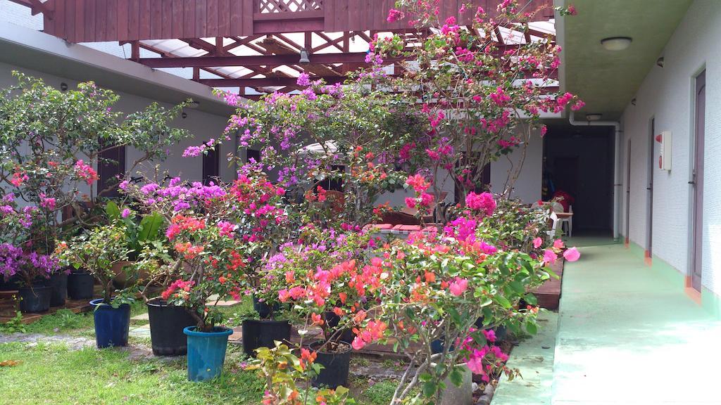 מלון זמאמי Patio House Reef מראה חיצוני תמונה