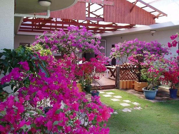 מלון זמאמי Patio House Reef מראה חיצוני תמונה